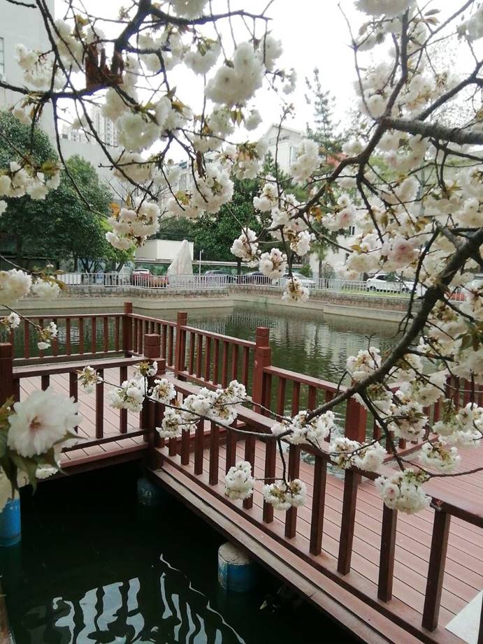 lADPDiCpqJPuOlfNBQDNA8A_960_1280